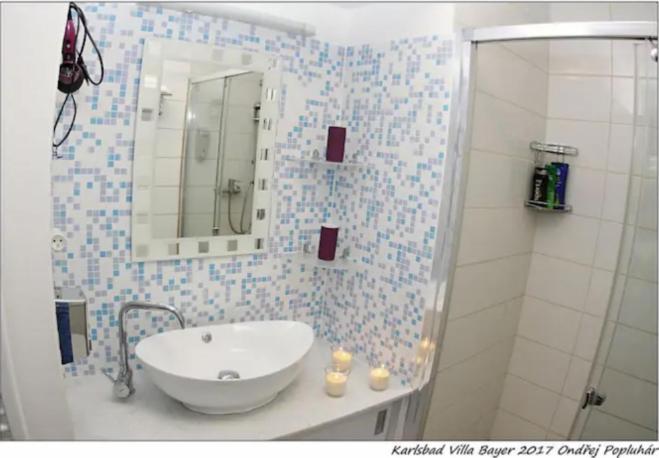 Apartman Vila Bayer Karlsbad Eksteriør billede