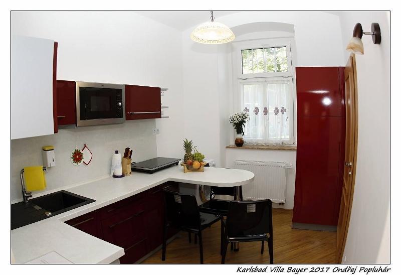 Apartman Vila Bayer Karlsbad Eksteriør billede
