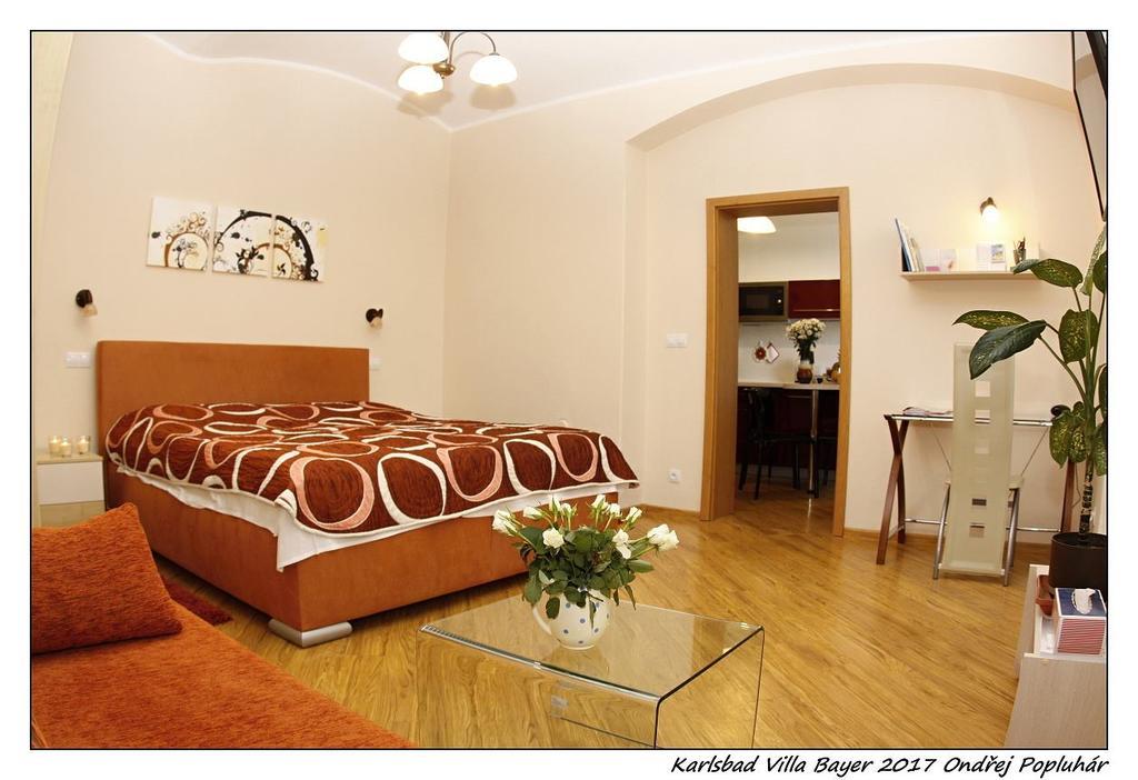 Apartman Vila Bayer Karlsbad Eksteriør billede